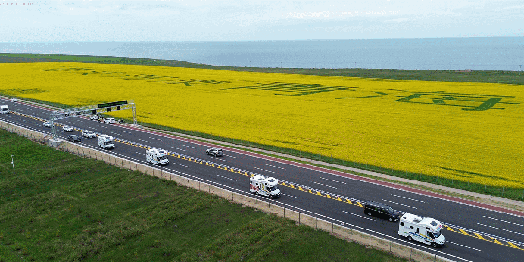 1家1司机1房车20+特色亲子体验j9九游会登录爆款！青海湖亲子营(图11)